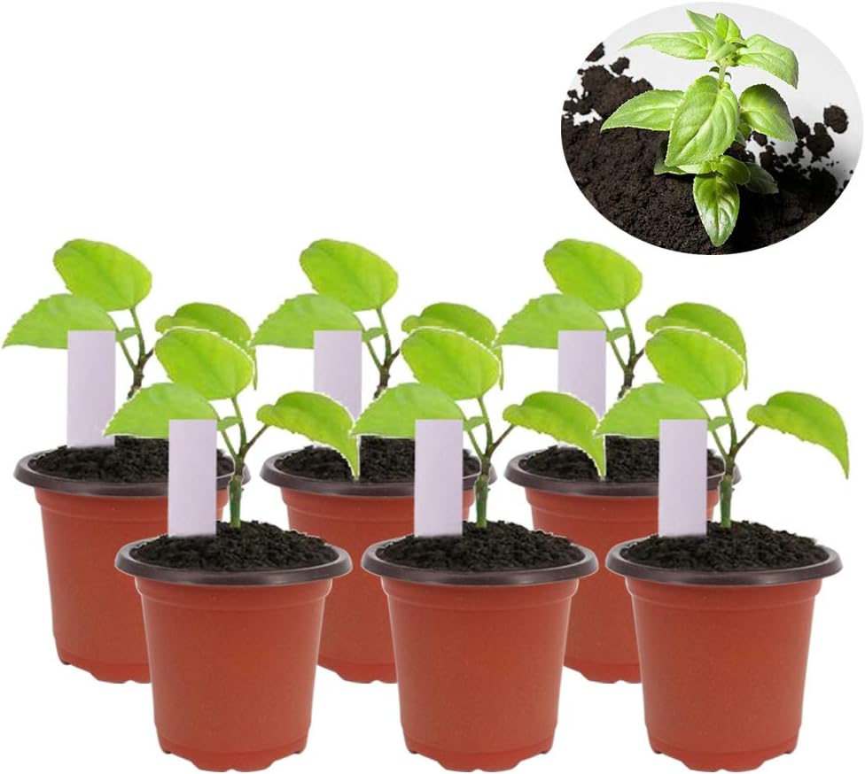 100 Pcs 4" Plastic Seedlings Plants Nursery Pots with 100 Pcs Waterproof Plastic Plant Tags and 2Pcs/Set Transplanting Digging Mini Tools