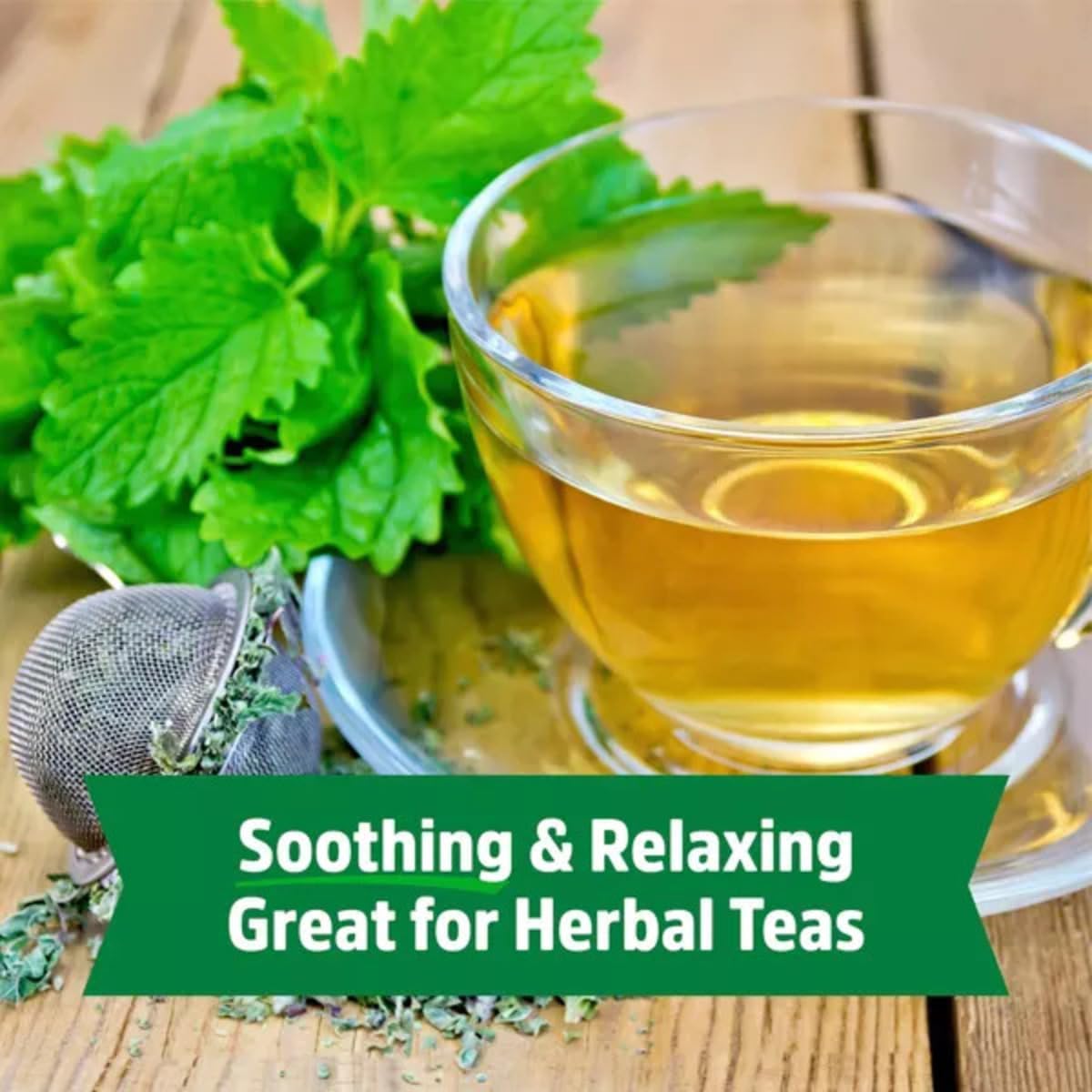 Wellness Grow Kit: Lemon Balm