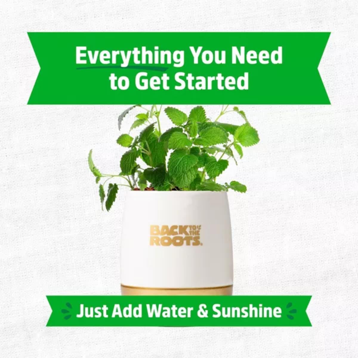 Wellness Grow Kit: Lemon Balm