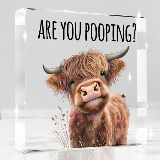 Highland Cow Bathroom Decor Gifts,Are You Pooping Funny Acrylic Sign Bathroom Decor for Western & Highland Cow Lovers Gifts for Coworker, Friends, Boss, Men, Women 4x4 Inch