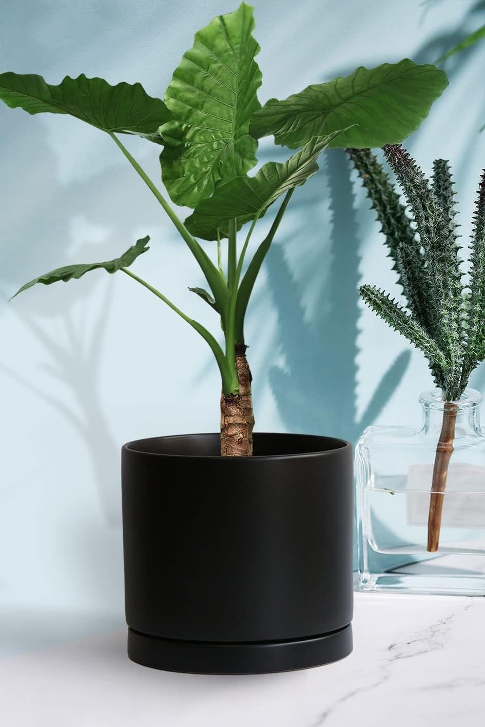 Plant Saucer Pot Tray Planter Saucers 4 in, 5 6 7 8 9 10 11 12 Inch Black 4 Pack for Indoors Outdoor, Durable Sturdy Ceramic Flower Drainage Tray for Glazed Pots Base ((4.5"/4.1"-Black)