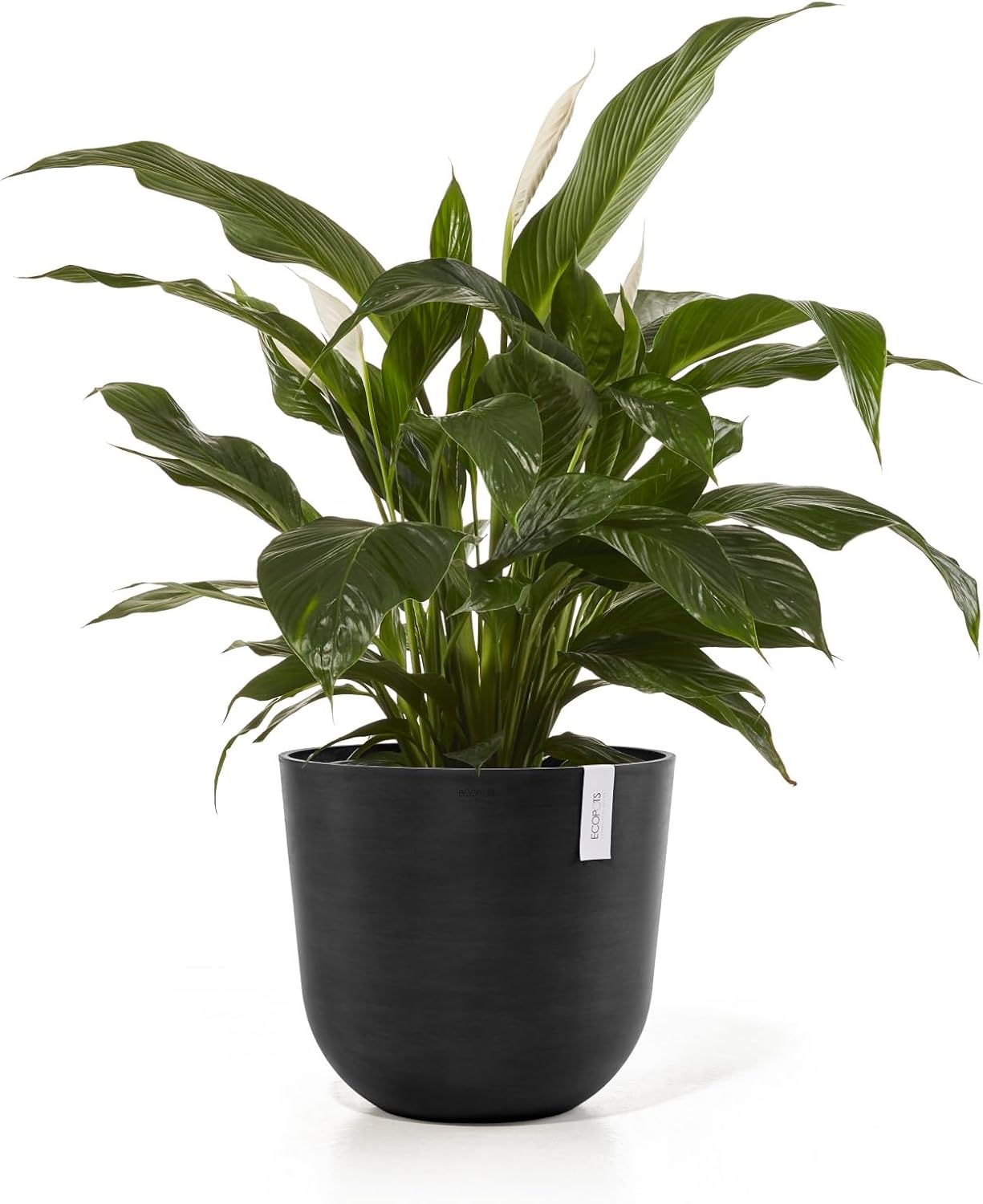 Ecopots Oslo Durable Modern Round Indoor/Outdoor Recycled-Based Composite Flower Pot Planter, Dark Grey, 17.75"