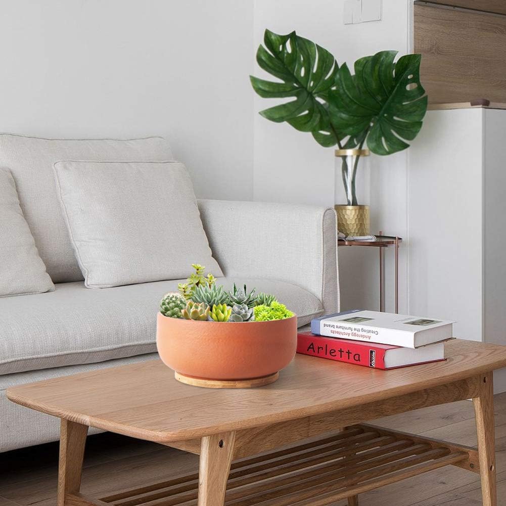 SQOWL Terracotta Planter Pot for Succulent 8 Inch Pottery Round Planter Cactus Clay Flower Pot with Drain Hole and Bamboo Tray Indoor Outdoor