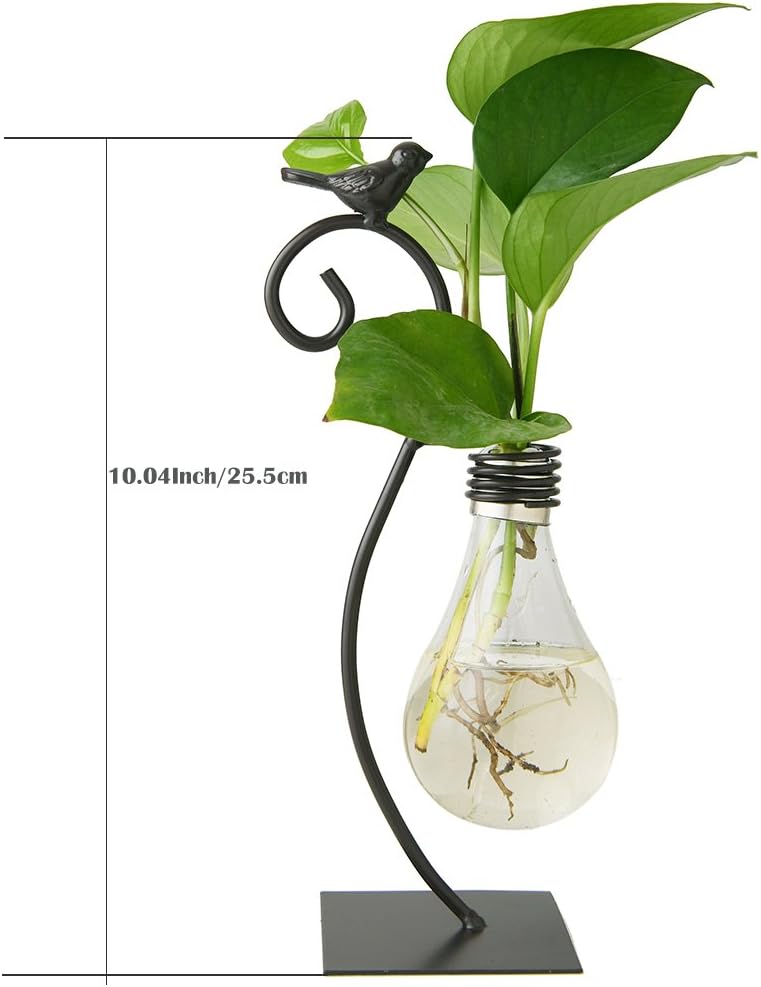 Marbrasse Desktop Glass Planter Hydroponics Vase,Planter Bulb Vase with Holder for Home Decoration,Modern Creative Bird Plant Terrarium Stand, Scindapsus Container (Bulb Vase)