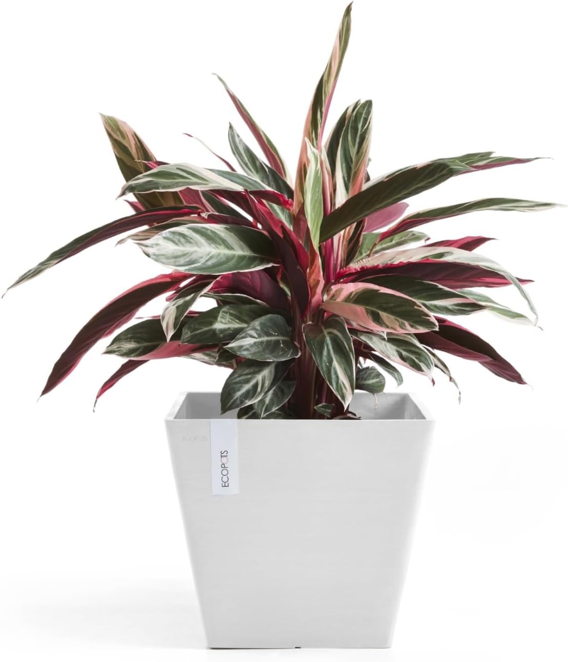 Ecopots Rotterdam Durable Modern Square Indoor/Outdoor Recycled-Based Composite Flower Planter, Pure White, 12"