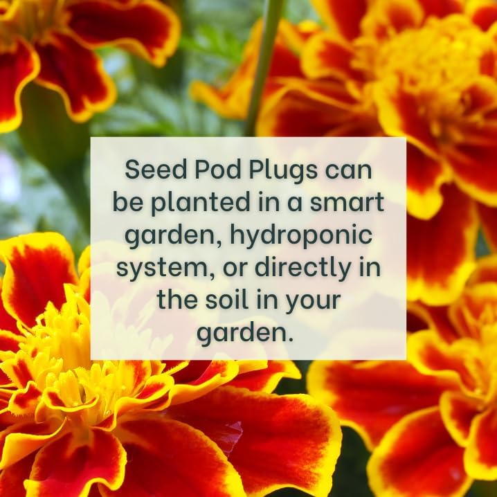 Marigold - Complete Seed Pod Plugs with Plant Food - 10 Pods for Hydroponic Gardens, Click and Grow, Lettuce Grow and Outdoor Gardens