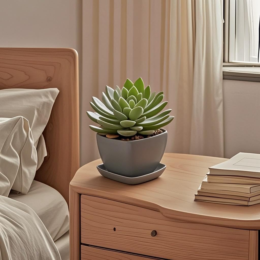 Square Plant Saucer 6 Inch 2 Pack，Plant Trays for Pots, Gray Ceramic Plant Saucers for Indoors Outdoors, Plant Drip Tray 4 6 8 10 12 14 Inch