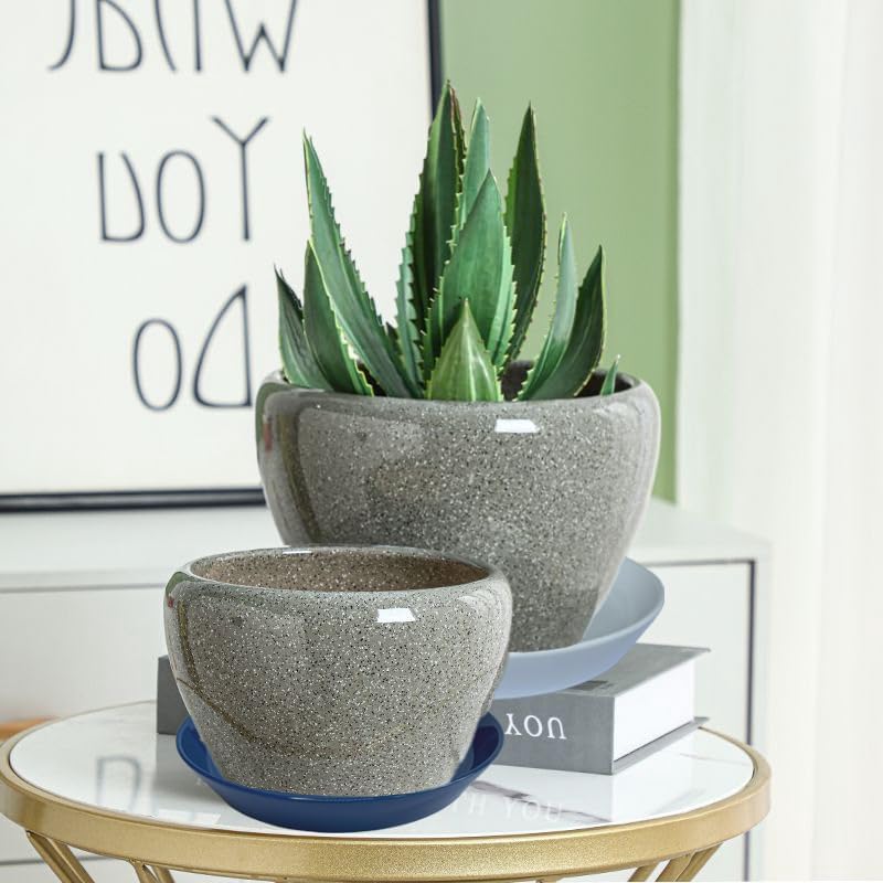 4 Pack of Plant Saucer, 5 inch Glazed Ceramic Plant Tray, Deep Drainage Tray for 4 Inch Flower Pot,Plant Dish Plate to Catch Water for Indoor & Outdoor