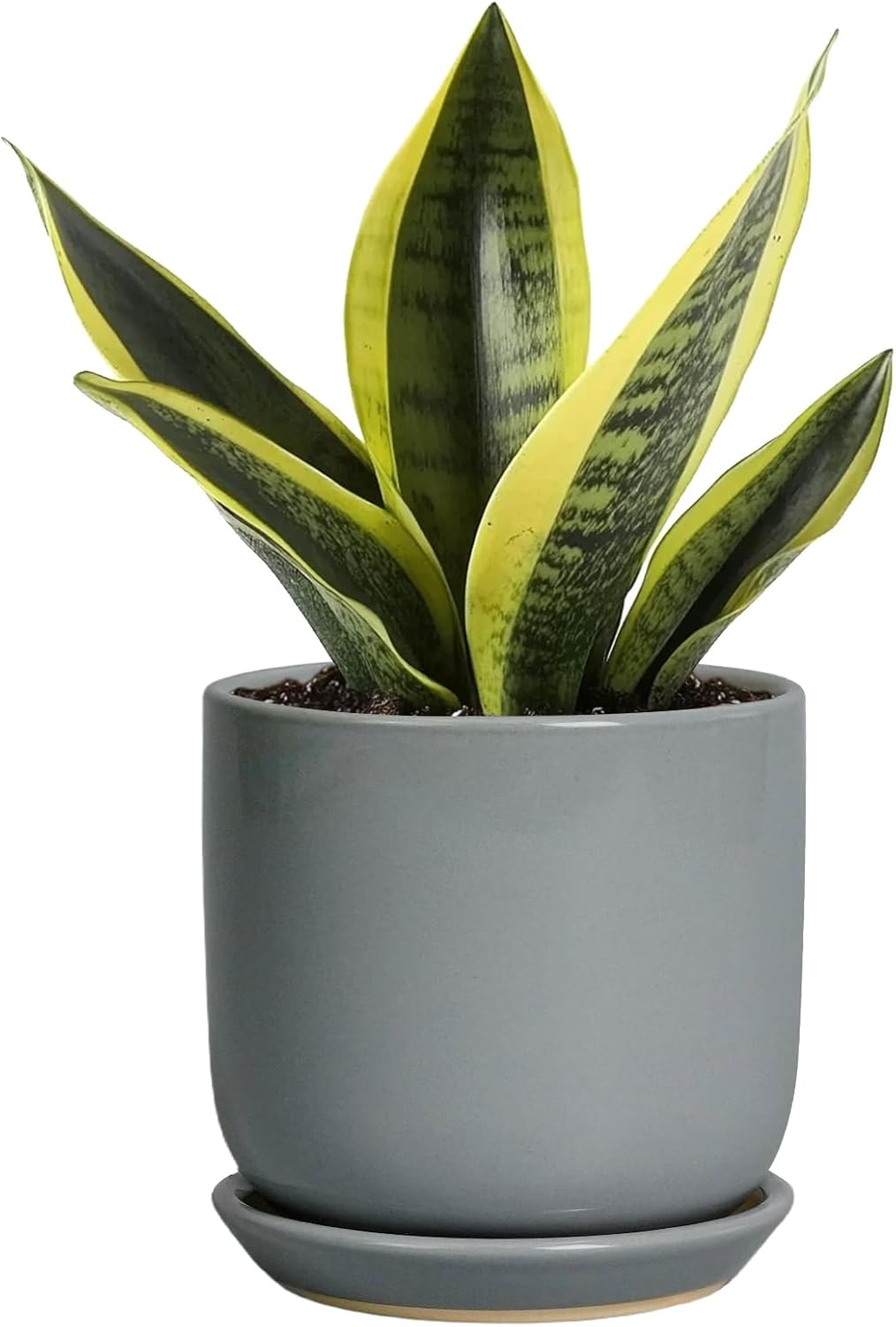 Ceramic Plant Pot 5 Inch - Modern Succulent Planter for Outdoor Indoor Plants with Drainage Hole and Saucer, Modern Home Decor, Gray