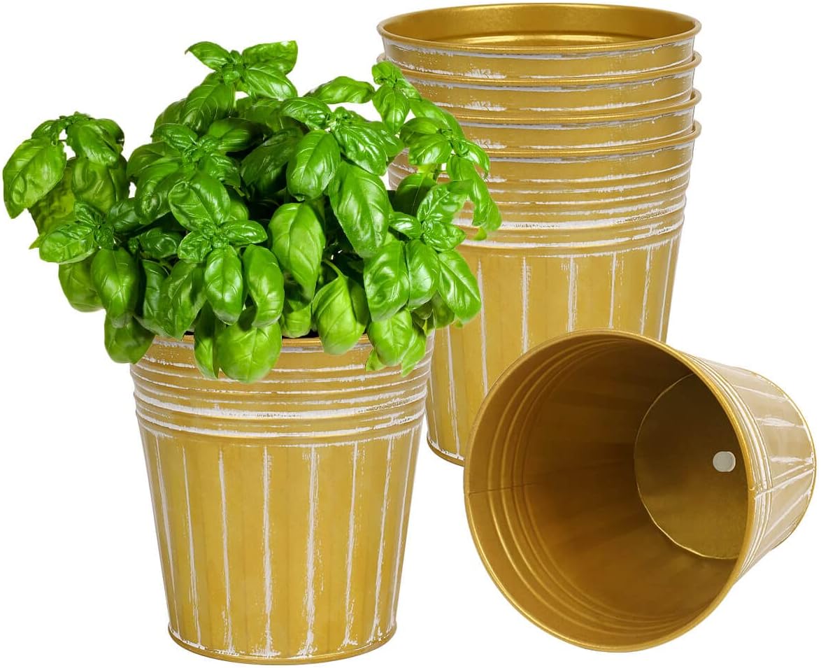 vensovo 6 Inch Gold Metal Rustic Flower Pots - 6Pcs Galvanized Planters with Drainage Hole and Rubber Plug, Rustproof Metal Bucket Plant Pots Farmhouse Vintage Style for Decor