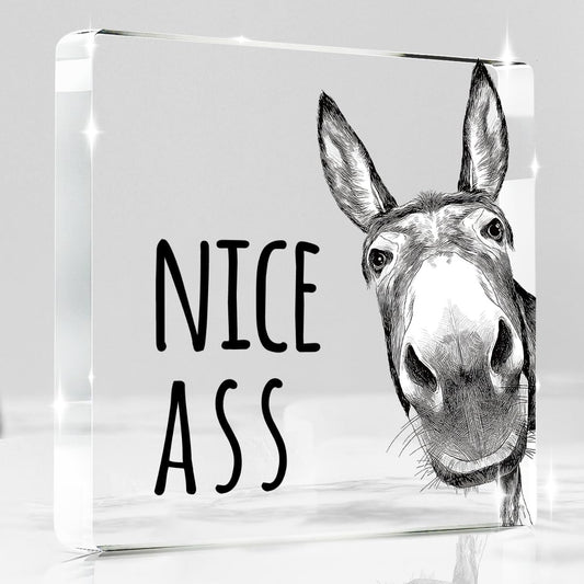 Funny Donkey Animal Prints Toilet Room Decor - Nice Ass Quotes Bathroom Acrylic Sign,Funny Bathroom Decor for Toilet Restroom Washroom Donkey Accessories 4x4 Inch