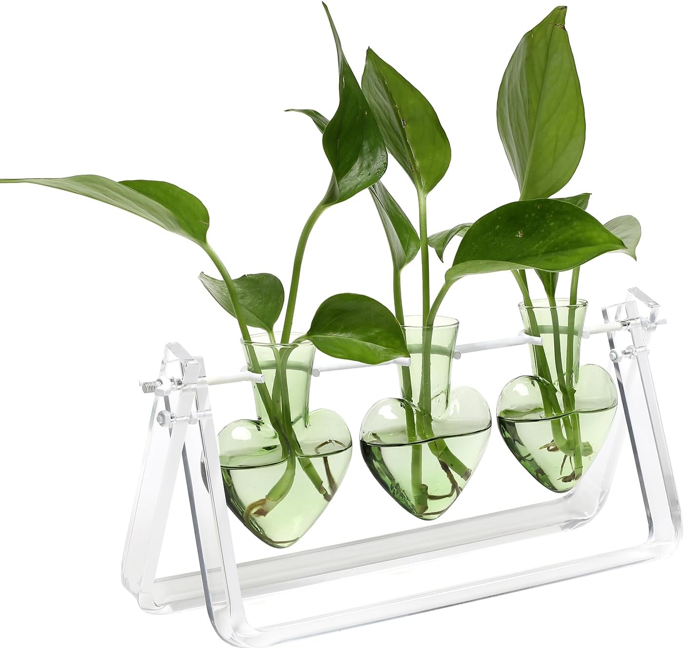 Plant Terrarium Propagation Stations with Wooden Stand Birthday Gifts for Women Plant Stand Indoor Office Home Decor