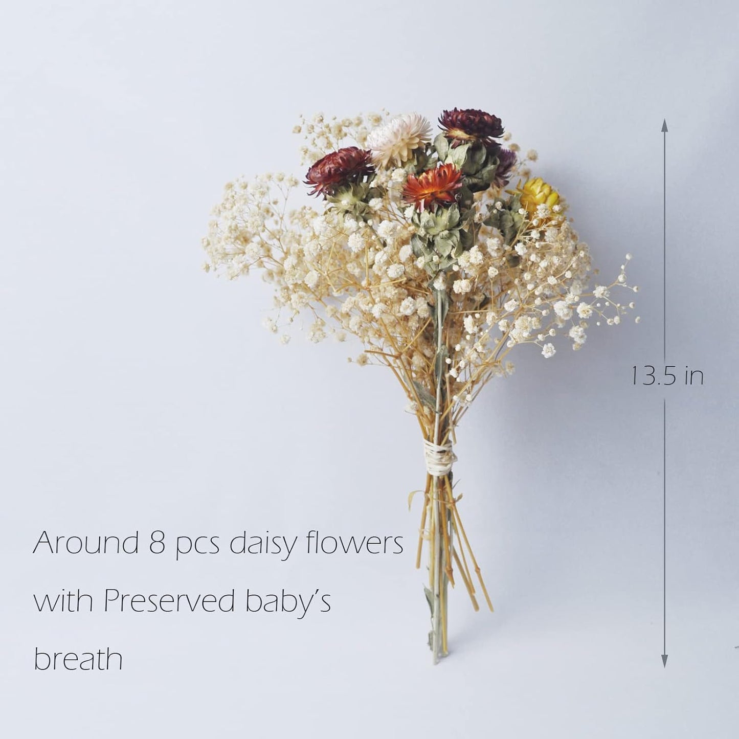 L'BREVOGA Dried Flower Bouquets, Natural Dried Daisy, Chrysanthemums with Baby’s Breath for Floral Arrangement Home Decoration Party Gift (Daisy)