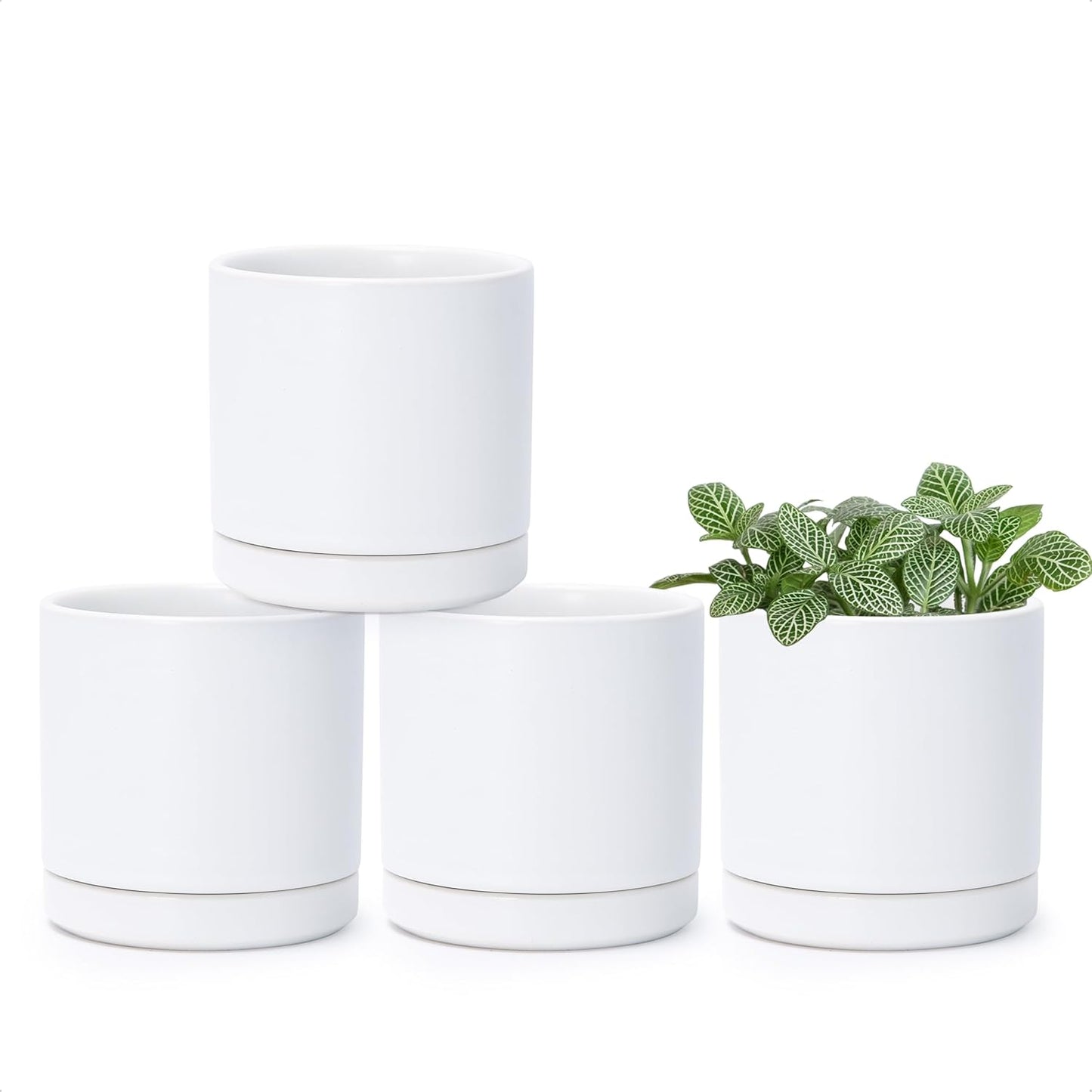 D'vine Dev Set of 4 Small Ceramic Plant Pots, 3.5 Inch Succulent Planter Pot for Plants with Drainage Hole and Saucer, White, 94-X-A-1