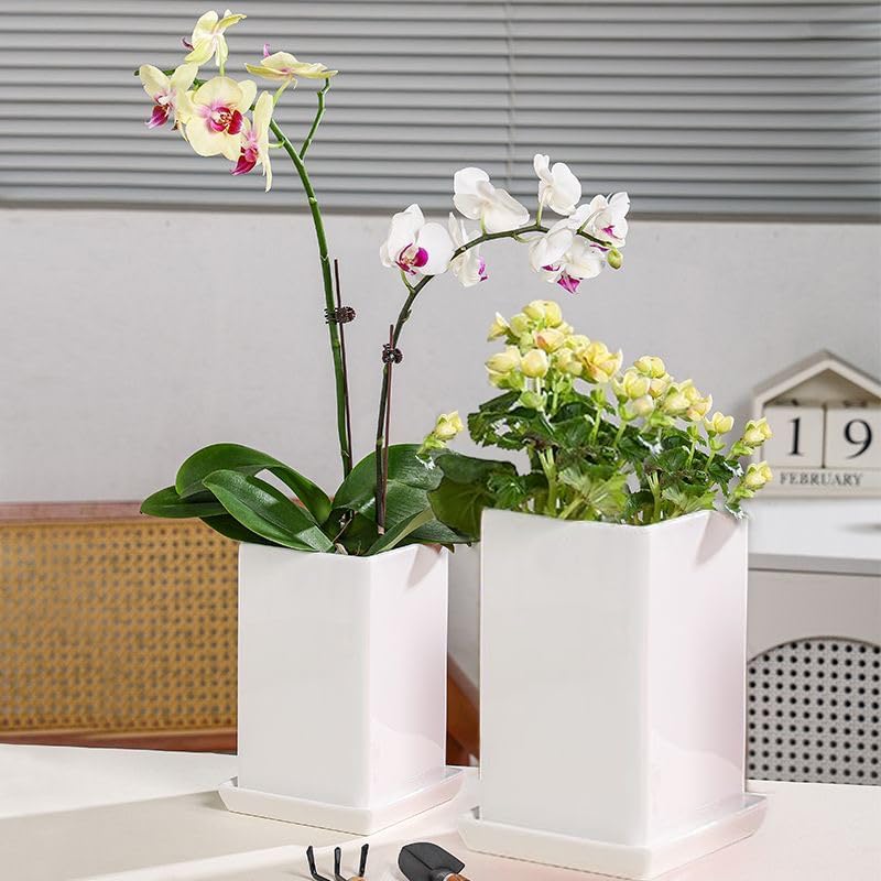 Square Plant Saucer 6 Inch 2 Pack，Plant Trays for Pots, White Ceramic Plant Saucers for Indoors Outdoors, Plant Drip Tray 4 6 8 10 12 14 Inch