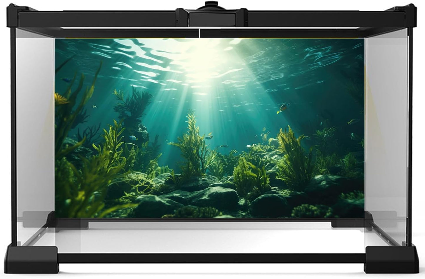 Ocean Aquarium Background Aquatic Plants with Rocks Terrarium Backdrop Sunlight Rays Deep Sea Fish Tank Background Aquarium Wallpaper Poster Decor Vinyl 36x18in