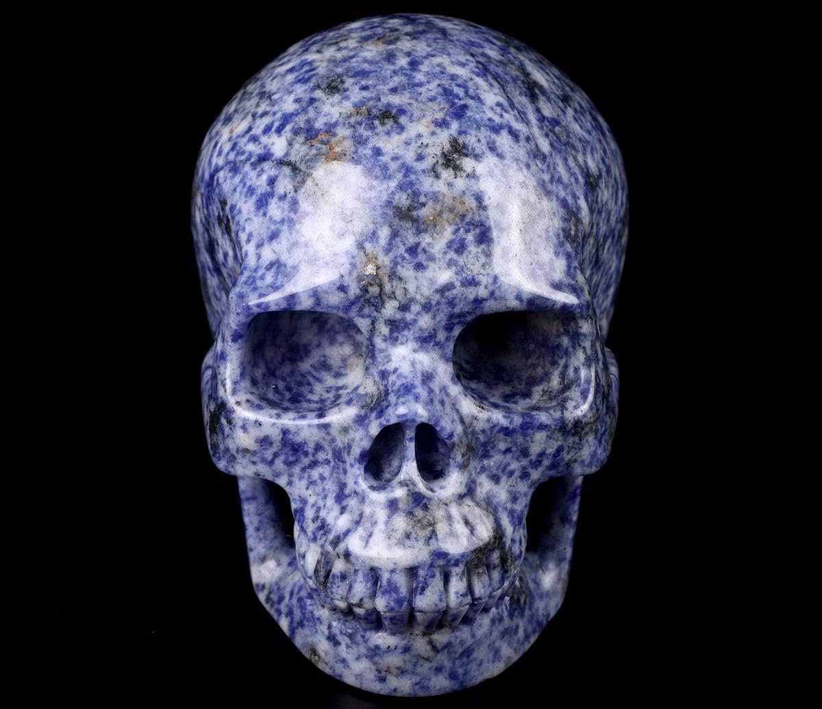 Skullis 5.0" Blue Speckled Sodalite Crystal Skull, Hand Carved Gemstone Fine Art Sculpture, Reiki Healing Stone Statue. z8