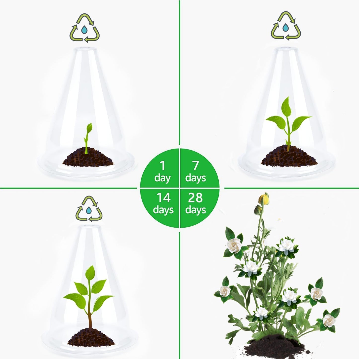 【24 Pieces】 Garden Cloches for Plants, Plant Cover Plant Protectors Transparent Bell Jar Cloches Protection Plants from Birds, Slugs, Frost, Freeze Weather, 7.8" D x 9.4" H, Transparent