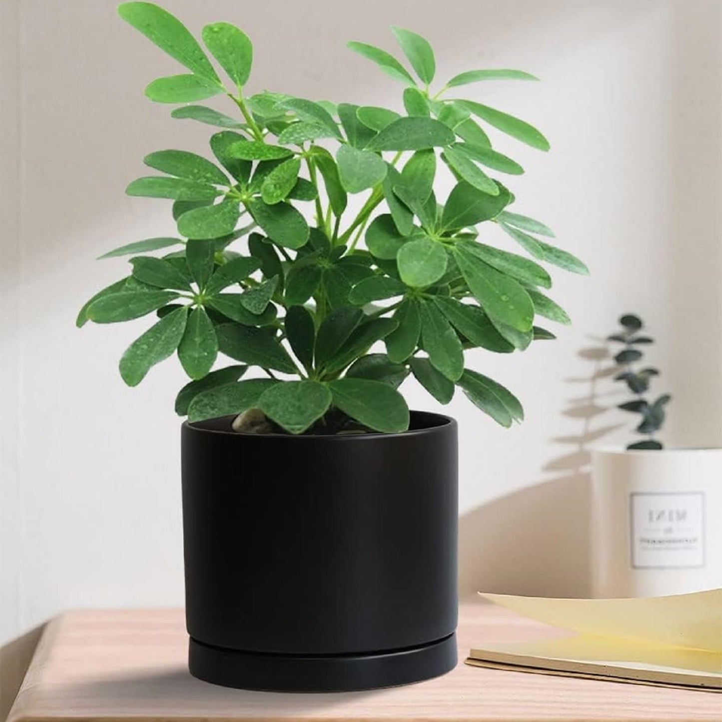 2 Pack Ceramic Plant Saucer Pot Tray 7 Inch, Planter Saucers 4 5 6 7 8 9 10 11 12 13 Inch for Indoors Outdoor, Durable Sturdy Flower Drainage drip Water Tray for Glazed Pots Base (7 Inch-Black)