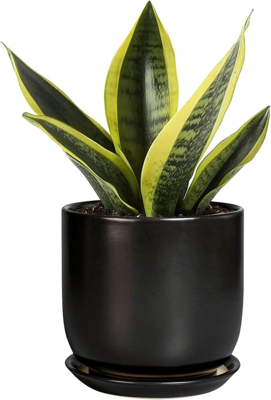 Ceramic Pot for Plants 5 Inch - Modern Round Indoor Planter for Cactus Succulent Plants with Drainage Hole and Saucer, Home Room House Office Decor, Black
