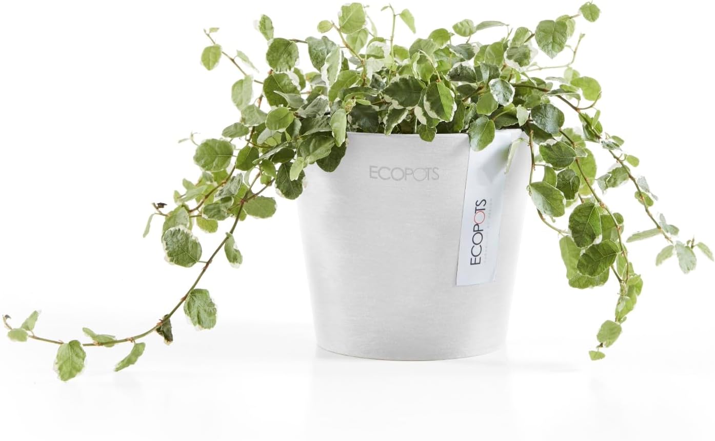 Ecopots Amsterdam Mini Durable Modern Round Recycled-Based Composite Flower Pot Planter, Pure White, 4"