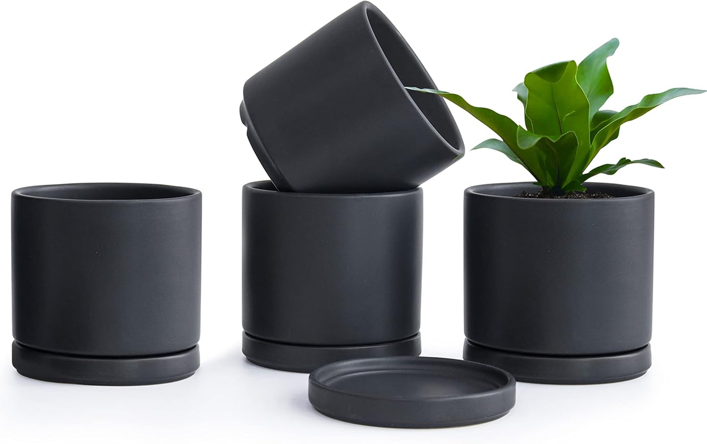 D'vine Dev Set of 4 Small Ceramic Plant Pots, 4.6 Inch Succulent Planter Pot for Plants with Drainage Hole and Saucer, Black, 94-X-B-2