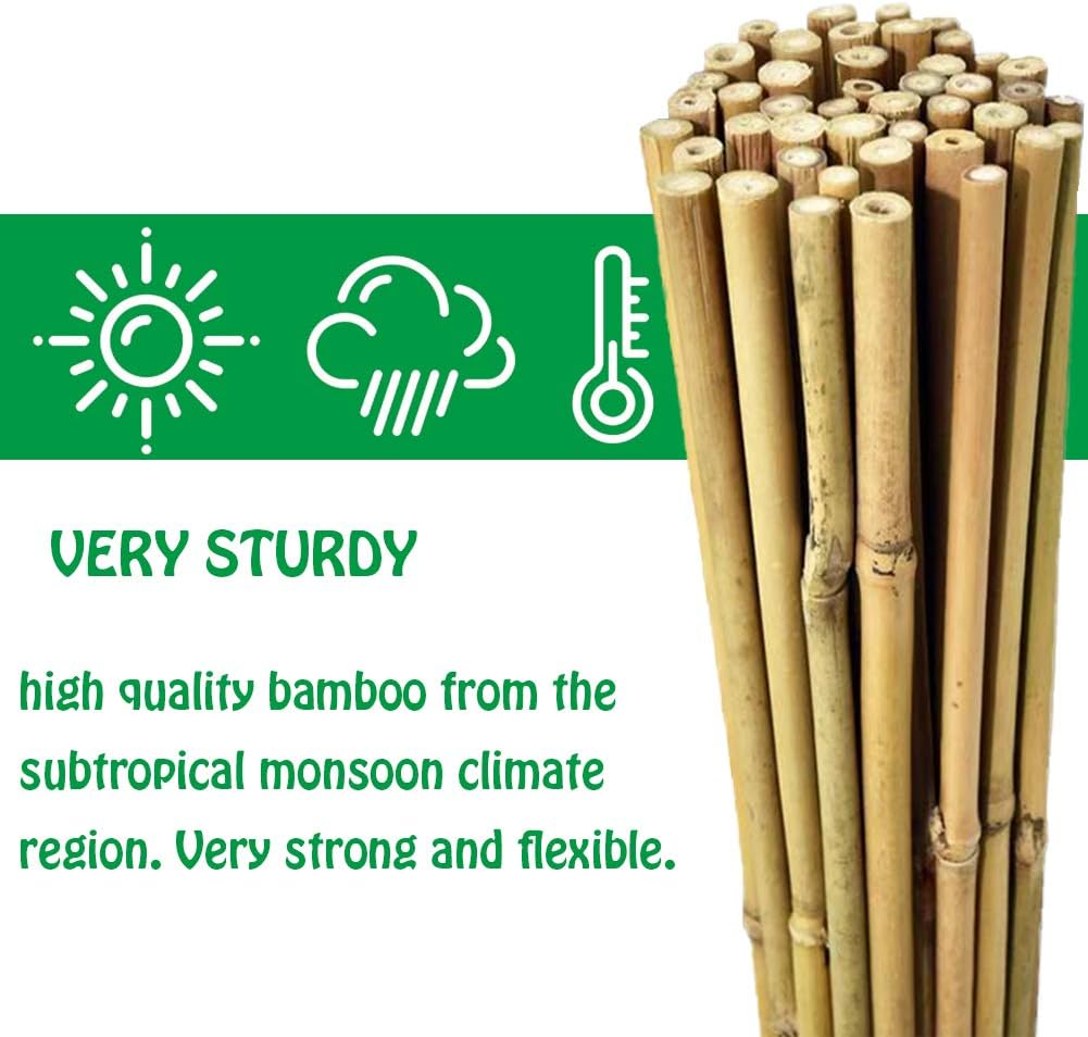 Mininfa Natural Bamboo Stakes 4 Feet, Eco-Friendly Garden Stakes, Plant Stakes Supports Climbing for Tomatoes, Trees, Beans, 25 Pack
