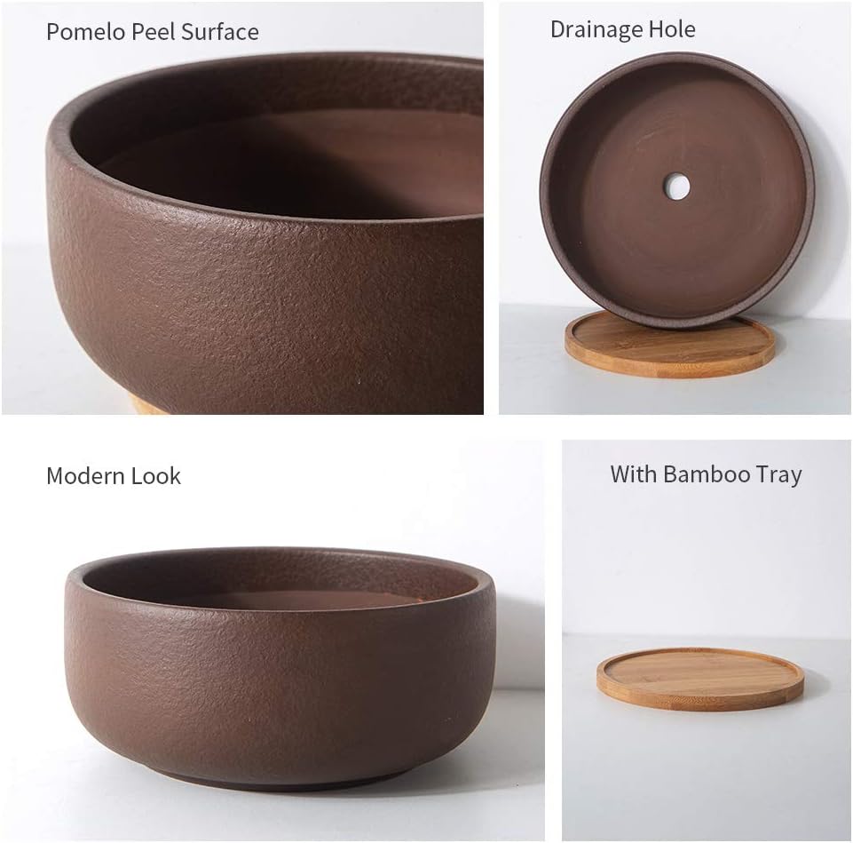 SQOWL Terracotta Bonsai Planter Pot for Succulent 8 Inch Pottery Round Planter Cactus Clay Flower Pot with Drain Hole and Bamboo Tray Indoor Outdoor