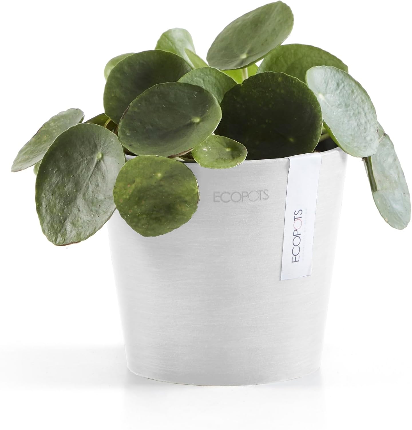 Ecopots Amsterdam Mini Durable Modern Round Recycled-Based Composite Flower Pot Planter, Pure White, 5"