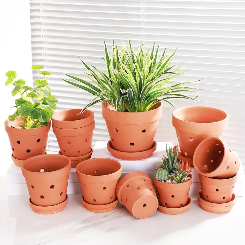 Fcacti 6 Inch Terracotta Orchid Pots with Drainage Holes and Saucers - 6 Pack Small Clay Orchid Planter Pots for Repotting, Plant Flower Pots for Orchid Indoor/Outdoor Promotes Air Circulation