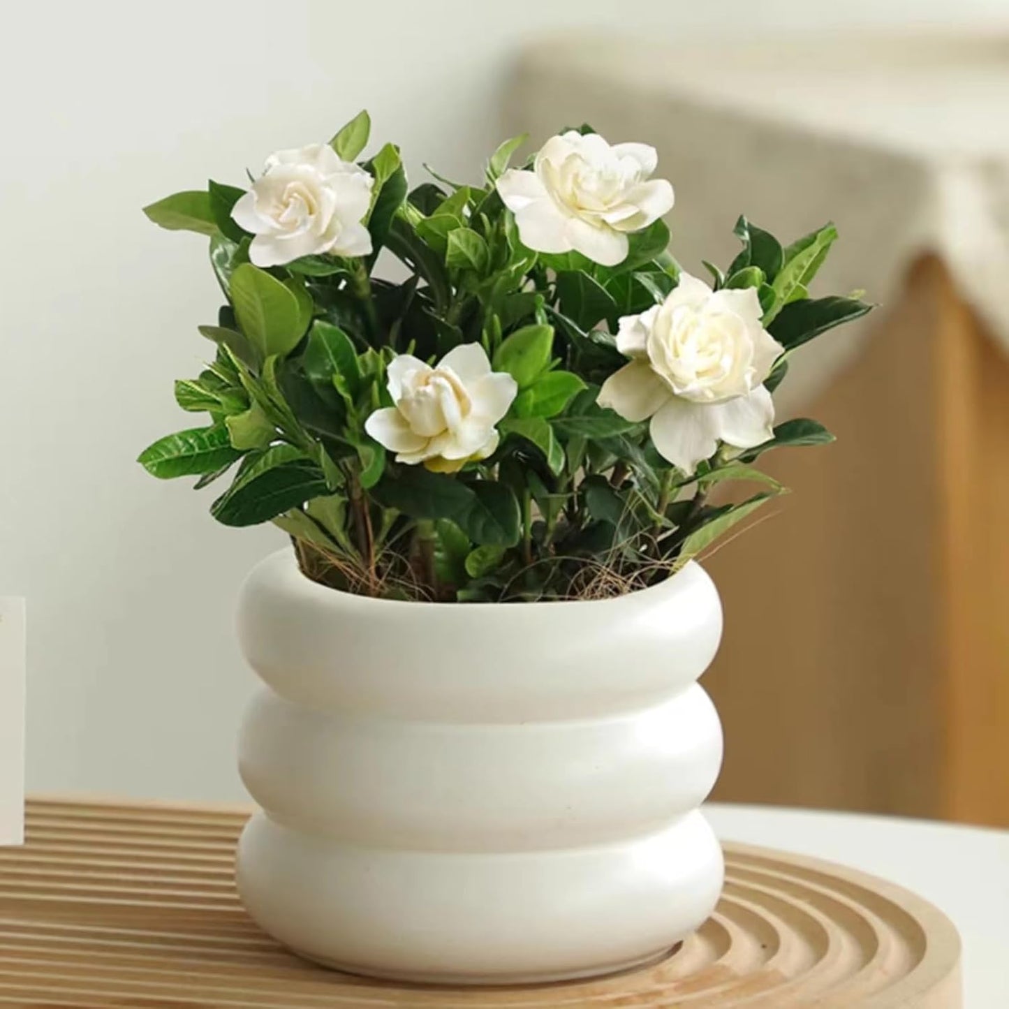 Ceramic Plant Pot Indoor, 6.5 Inch Flower Pot with Drainage Hole, Tiered Bubble Design Ceramic Planter for Home & Office Decor (Beige)