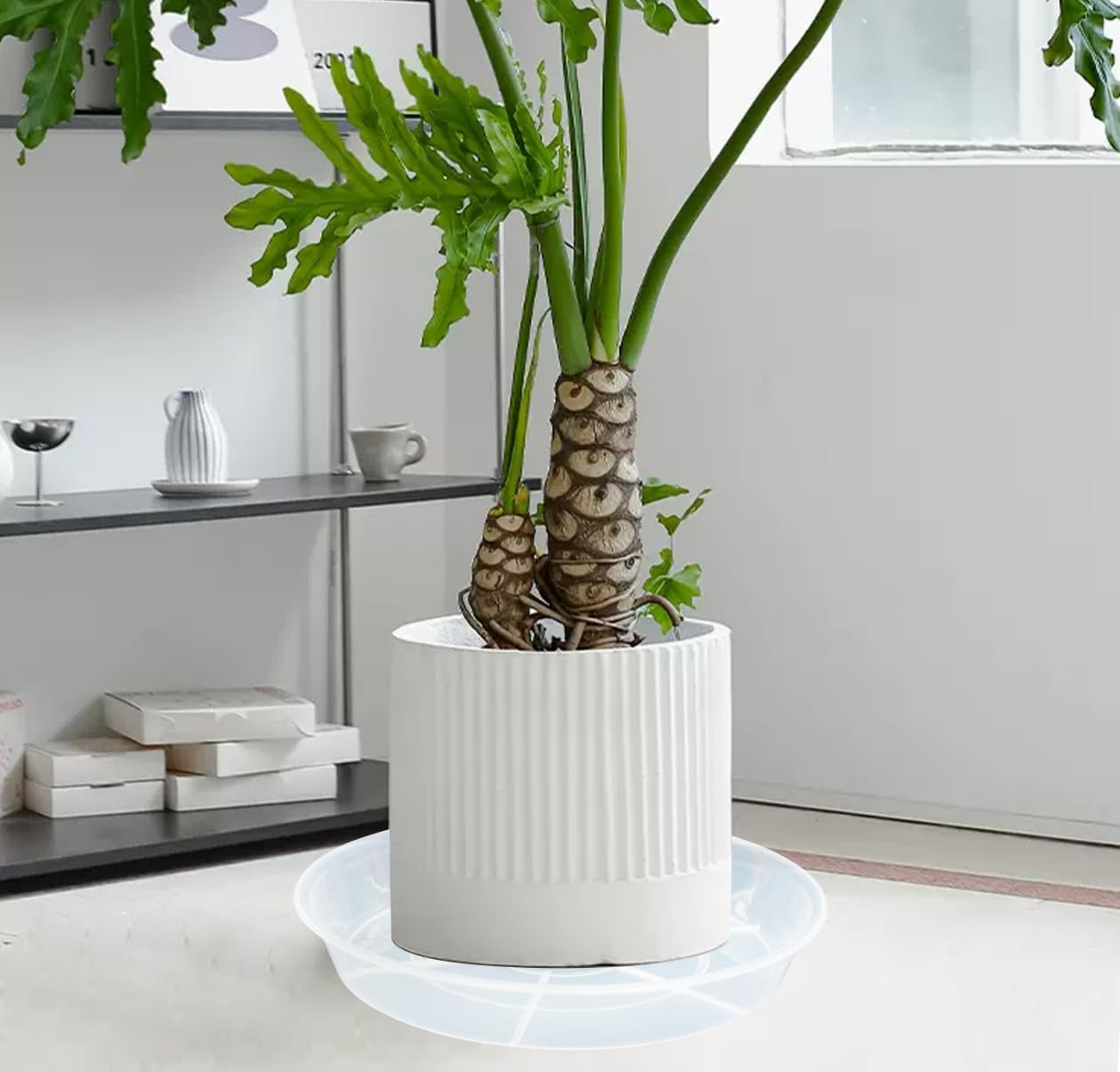 4 Pack of 16 inch Plant Saucer (13.8 Inch Base), 1.7" Depth Tray, Large Deep Garden Plastic Flower Planter Plant Trays for Indoors Outdoor Bath Bath (16", Clear)