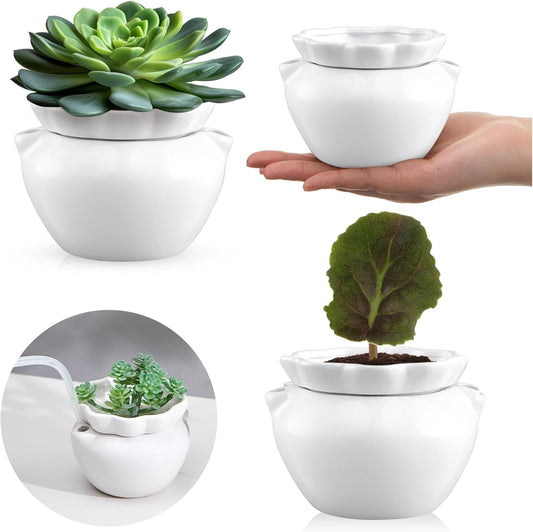 4 Set 4 Inch African Violet Pots Self Watering White Ceramic Planter Highly Absorbent Inner Planter Pot for Indoor Plants Plant Lovers Ideal Plant Pot Thriving Plant Flower Maintenance