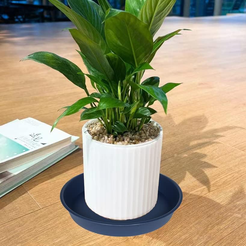 6 Pack of 8 inch Plant Saucer Blue, Plastic Plant Water Tray 8 inch Round, Flower Plant Saucers for Indoors, Dlant Dishes Saucer for Planter 7"/8" (8", Blue)