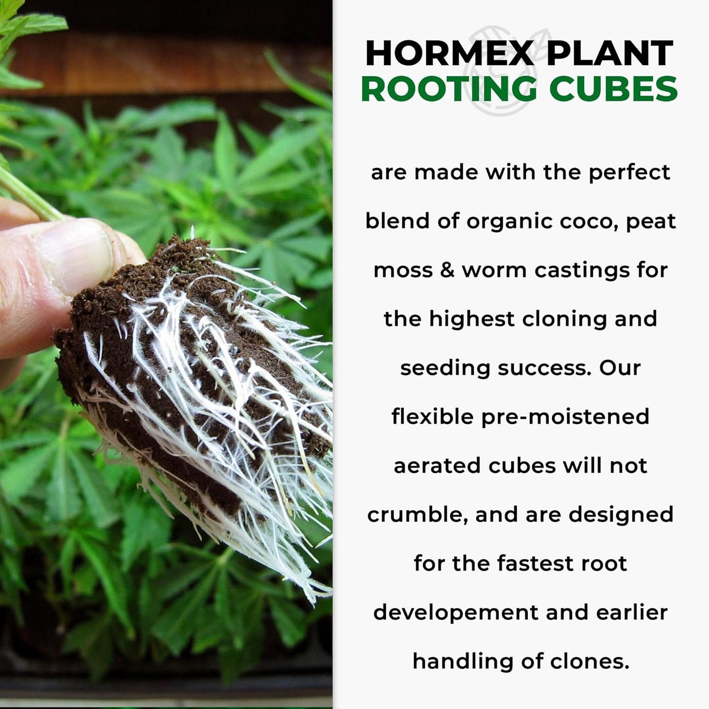 Hormex Rooting Powder #1 & Rooting Cubes Combo - Rooting Hormone for Softwood Cuttings & Organic Peat Moss Coco Plugs - Fast, Healthy Root Growth for Propagation, Hydroponics, & Seed Starting