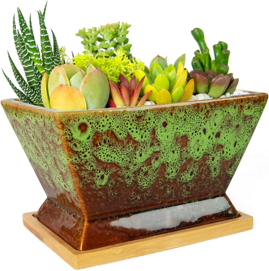 ARTKETTY Succulent Pots - 7 Inch Large Plant Pot with Drainage Tray, Shallow Ceramic Pots for Indoor Plants, Modern Cactus Bonsai Plant Container Decorative Home Office
