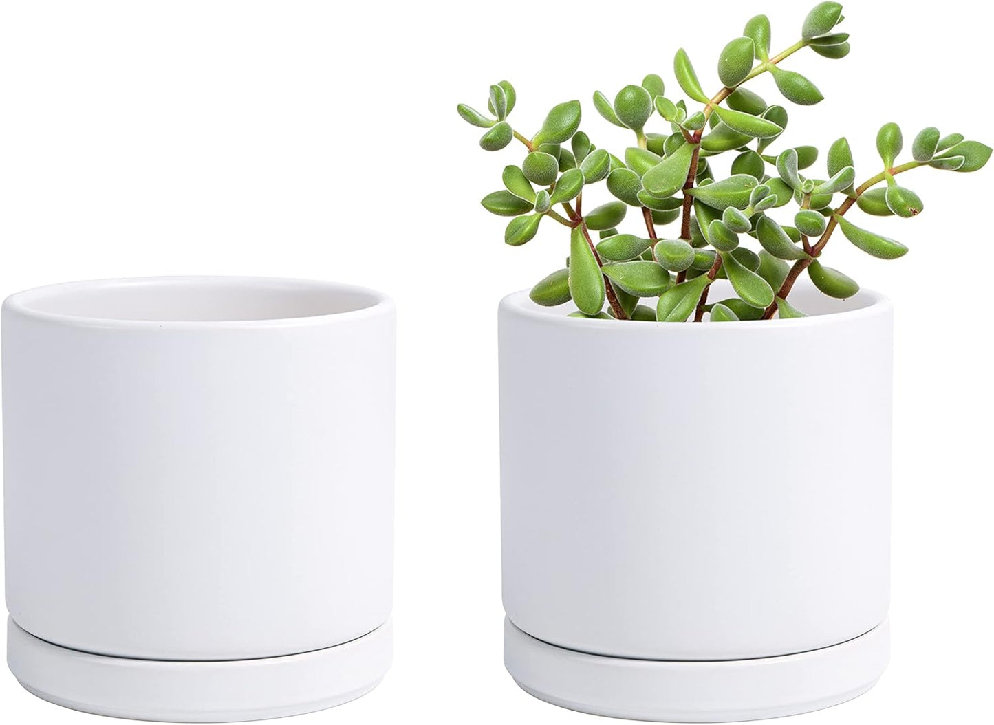 D'vine Dev Set of 2 Plants Pot, 4.6 Inch Ceramic Planter Pot for Plants with Drainage Hole and Saucer, White, 94-V-B-1
