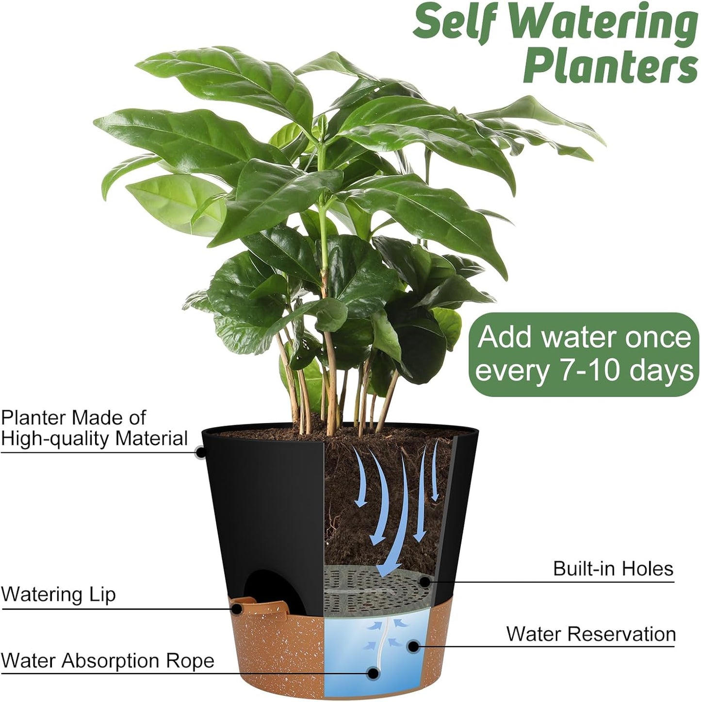 10-Inch Plant Pots, Self-Watering Planters with Drainage Holes & Saucers for Indoor and Outdoor Plants (2-Pack, Black)