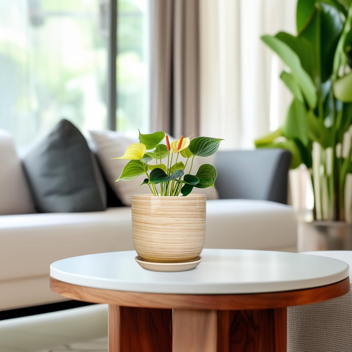 Ceramic Plant Pot 5 Inch - Modern Round Succulent Planter for Indoor Plants with Drainage Hole and Saucer, Office Home Room House Decor, Yellow