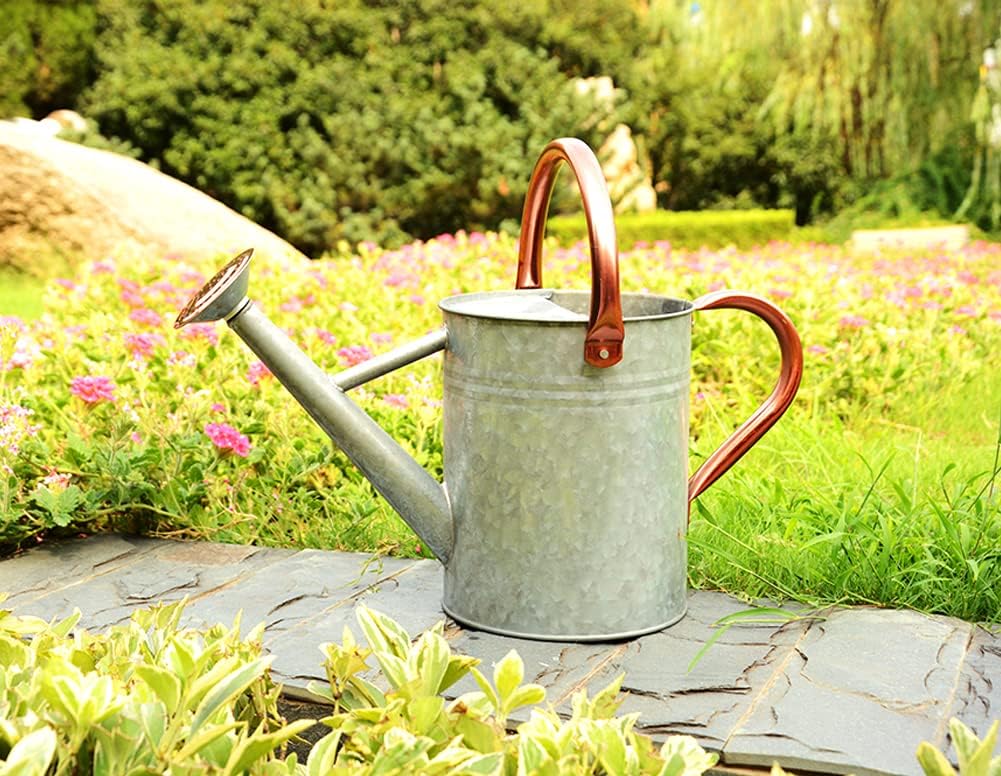 Metal Watering Can, One Gallon Watering Cans Stainless Steel for Outdoor Indoor Garden Plants Watering (Zinc 1 Gallon)