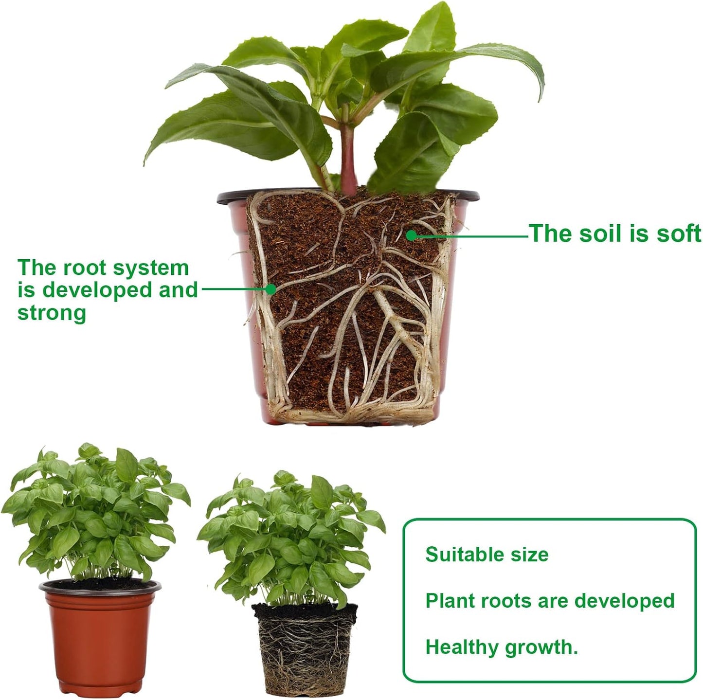 Augshy 40 Pcs 6" Plastic Plant Nursery Seed Starting Pots for Indoor Outdoor Succulent Seedling Cutting Transplanting