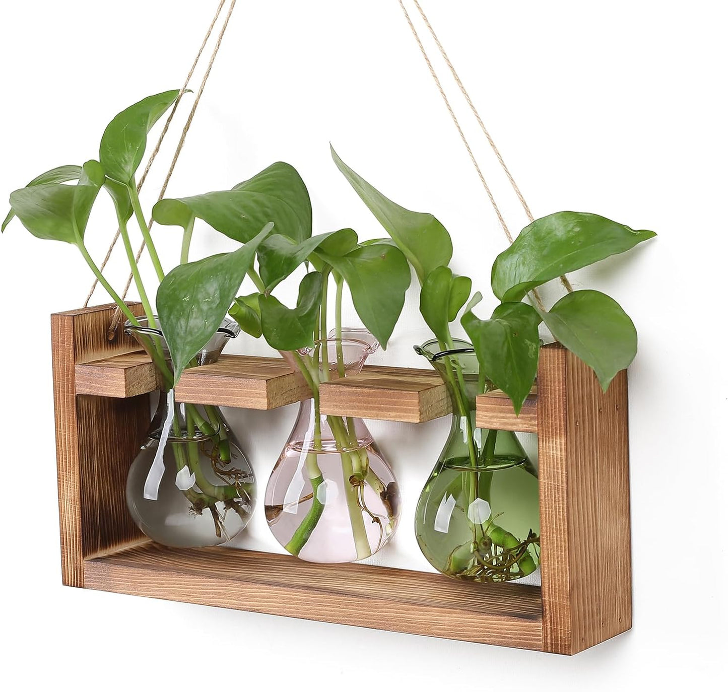 Plant Propagation Station Plant Terrarium Unique Birthday Gifts for Women Plant Lovers Home Office Decor Planter with Wooden Stand - 3 Bulb Glass Vase