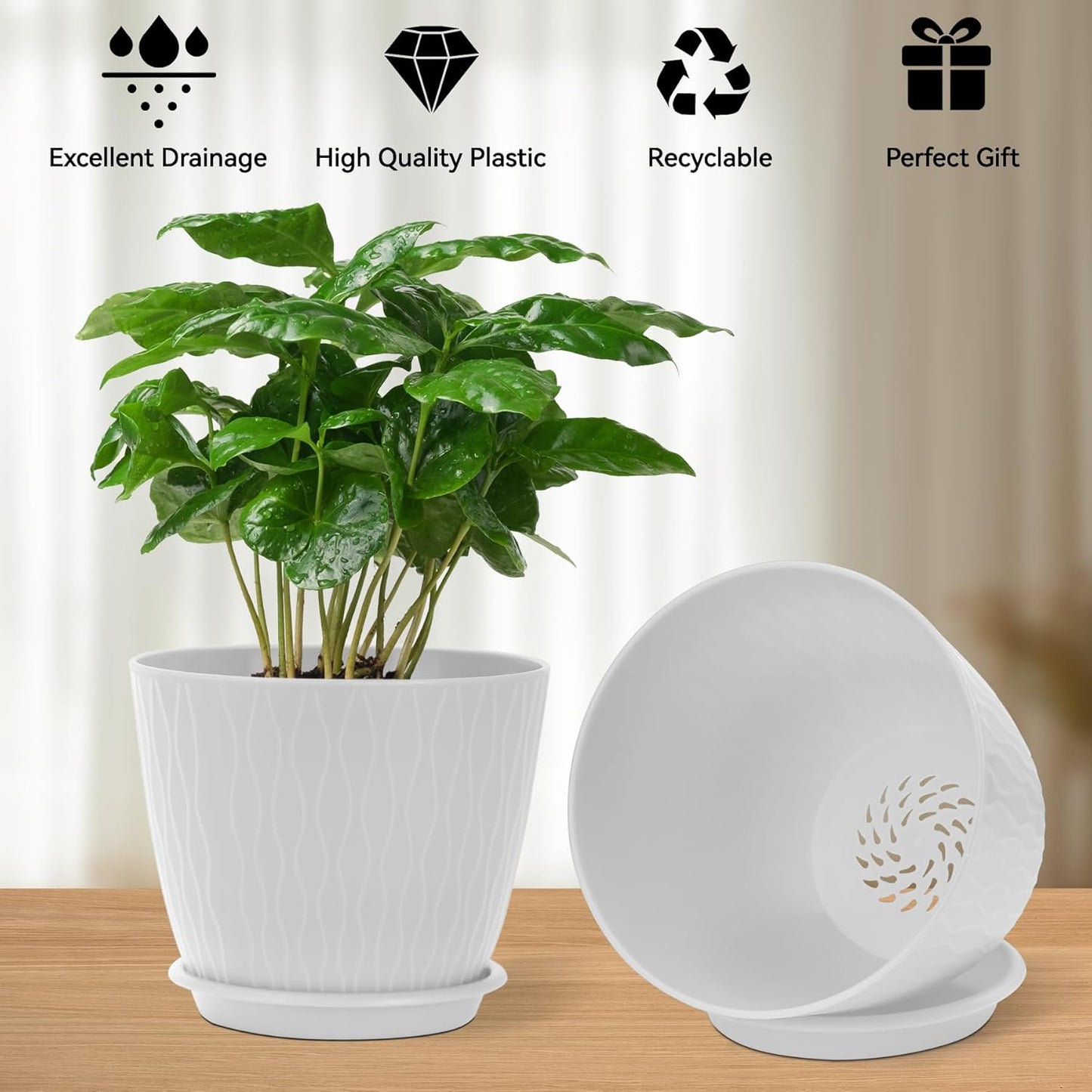 Plant Pots – 6 Inch Planters with Drainage Holes and Saucers, Flower Pots for Indoor and Outdoor Plants, Nursery Planting Pots (Pack of 5, White)