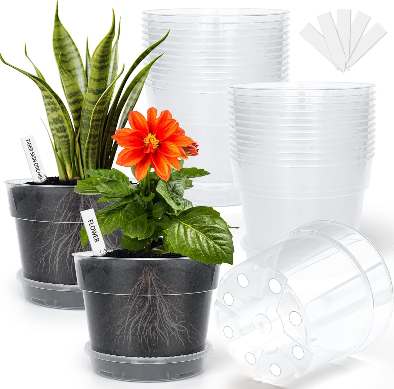 BTPLASTIK Clear Plastic Nursery Pots for Plants, 6 Inch Transparent Plant Pot with Drainage Holes, Flower Pots with Saucers, Seed Starter Pots with 15 Pcs Plant Labels, Gardening Gifts