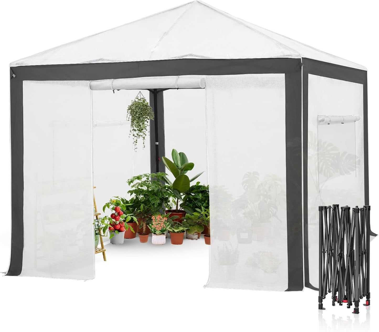 EAGLE PEAK 10x10 Portable Walk in Greenhouse with Polyester Reinforced Corners, Instant Pop up Indoor Outdoor Gardening Green House, Roll Up Zipper Entry Doors and Mesh Windows, Gray/White