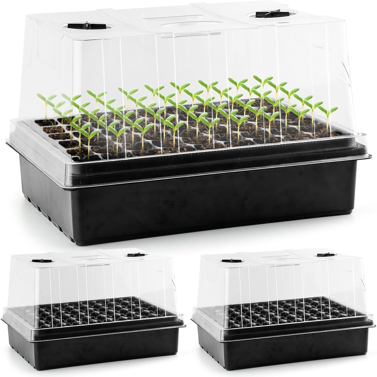 Heavy Duty Seed Starter Trays with 5'' Tall Humidity Domes & 2.75'' Deep Cells – 3-Pack (162 Cells Total) Reusable Plant Germination Kit, Durable Plastic Seedling Trays for Herbs, Vegetables