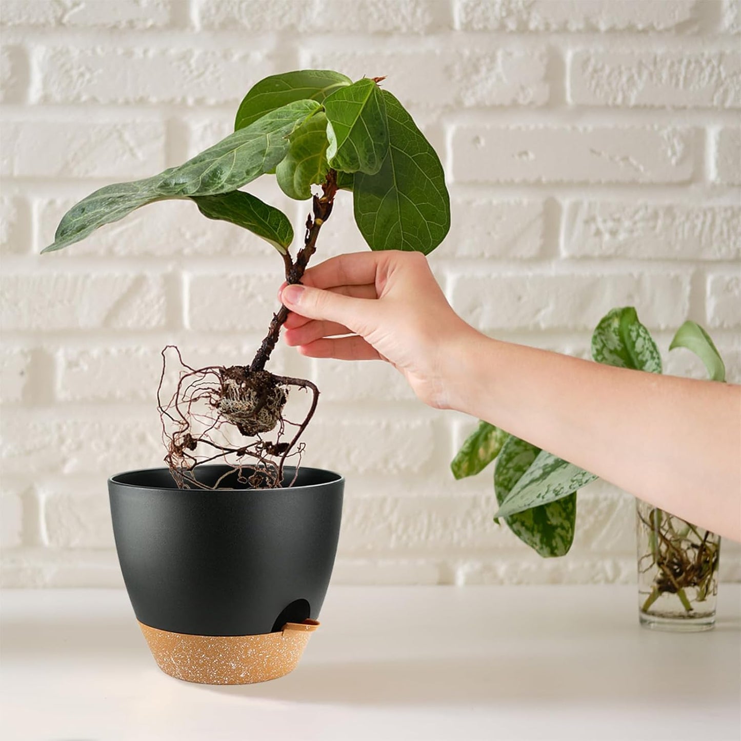 Indoor Pots For Plant Self Watering Plant Pots For Lazy People, 8/7.5/7/6.5/6/5.5/5 Inch,Black Plastic Self Watering Planter For All Houseplants,Succulent, African violets, Flowers And Cactus