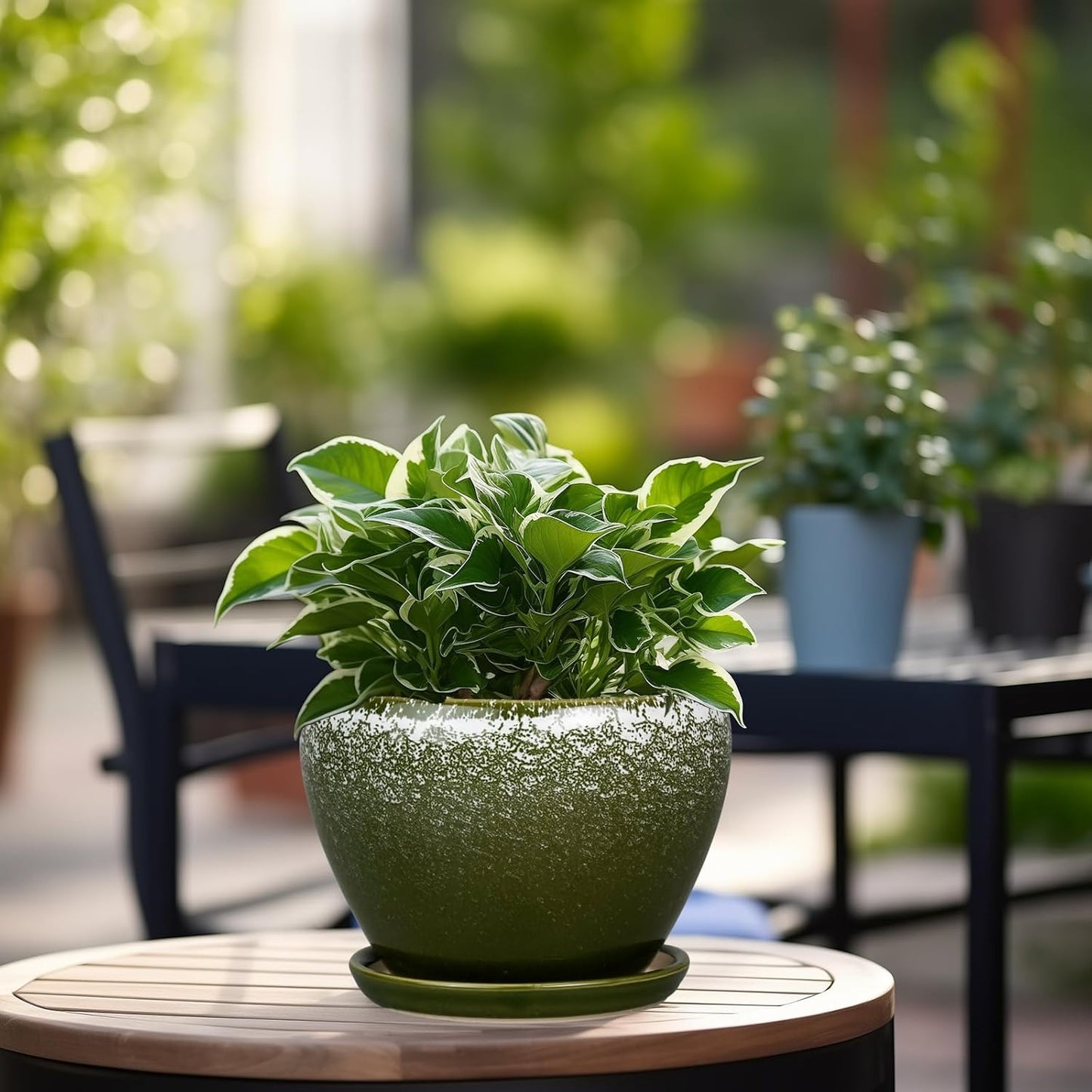 6 Inch Plant Pot - Ceramic Planter Pot with Drainage Hole and Saucer, Glaze Succulent Pot Modern Round Flower Pot for Indoor Plants, Dark Green