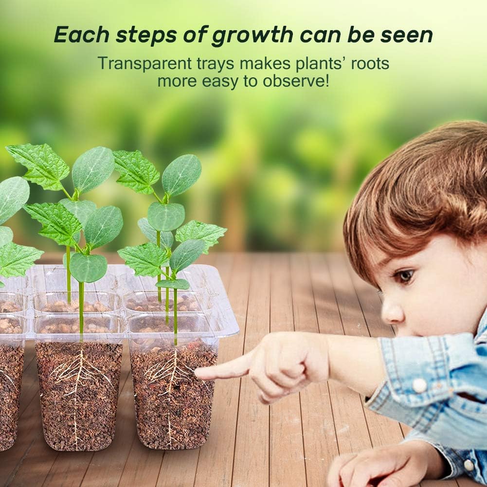 Bonviee 5-Pack Seed Starter Trays, Seed Starter Kit with Adjustable Humidity Dome and Base Indoor Greenhouse Mini Propagator for Seeds Growing Starting (12 Cells Per Tray, Green)