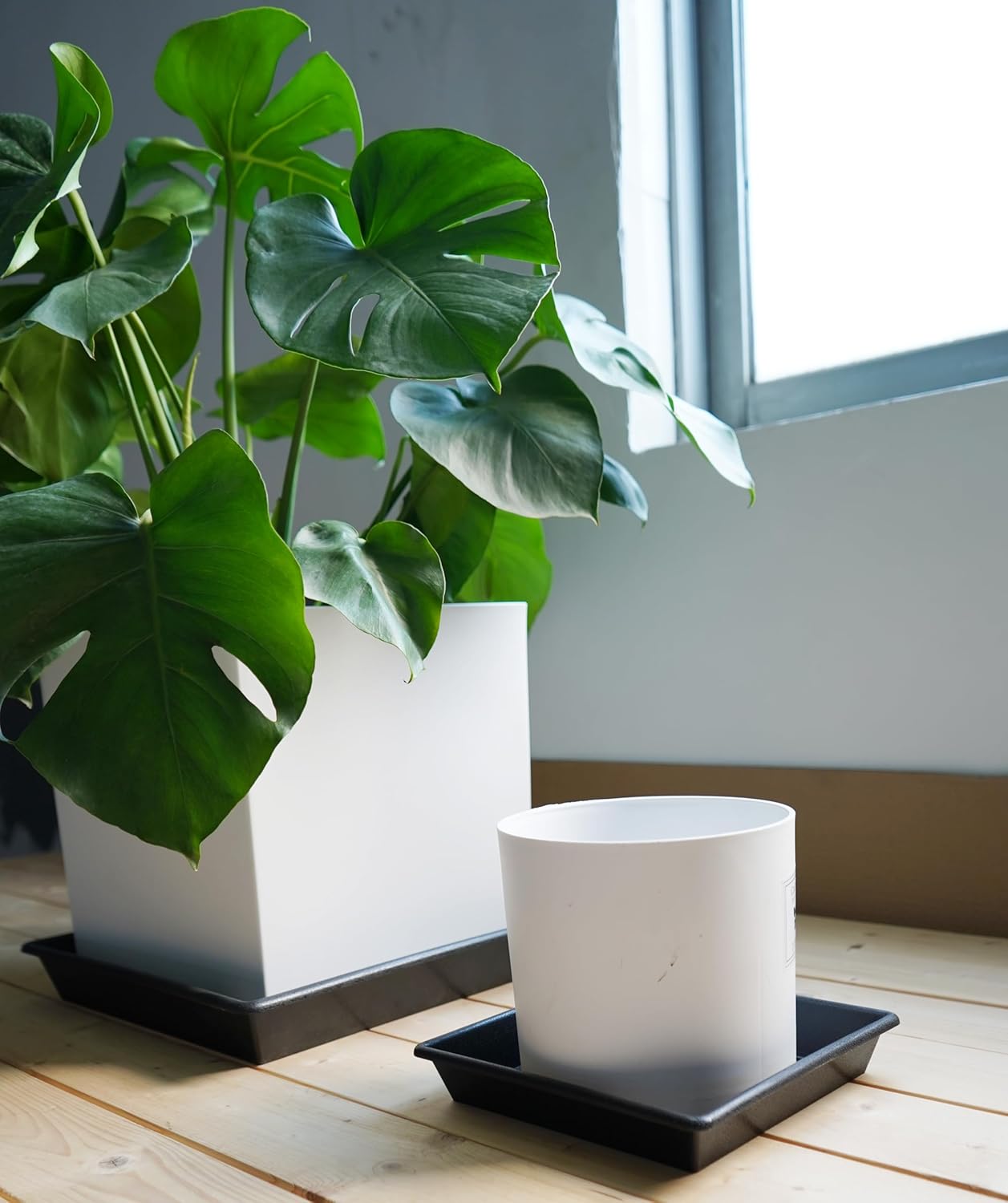 Square Plant Saucer 12 Inch 5 Pack 8 10 12 14 16 18 20 Inch, Plant Trays for Pots Heavy Duty Plastic Plant Saucers for Indoors Outdoors, Flower Pot No Holes Plant Drip Trays